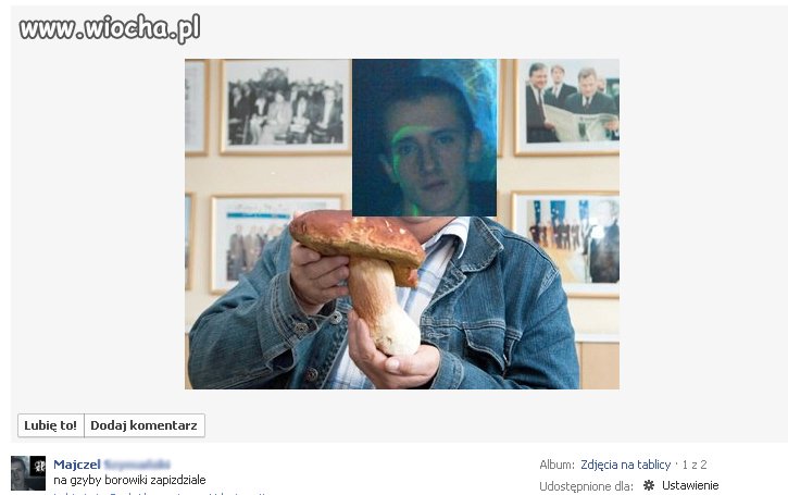 Grzybiarz