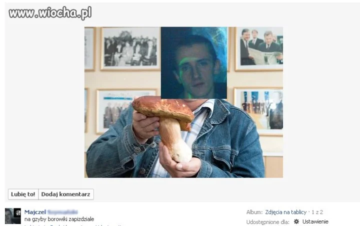 Grzybiarz