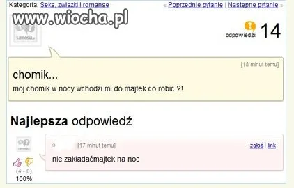 Taak, chomik dobra rzecz