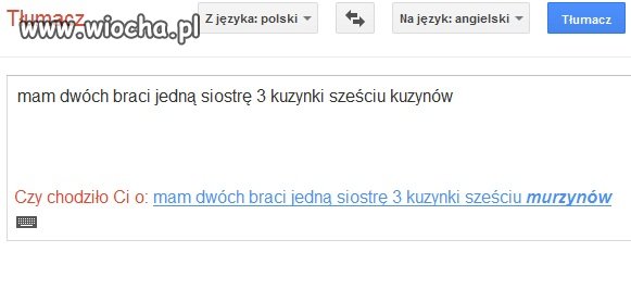 Wujek Google