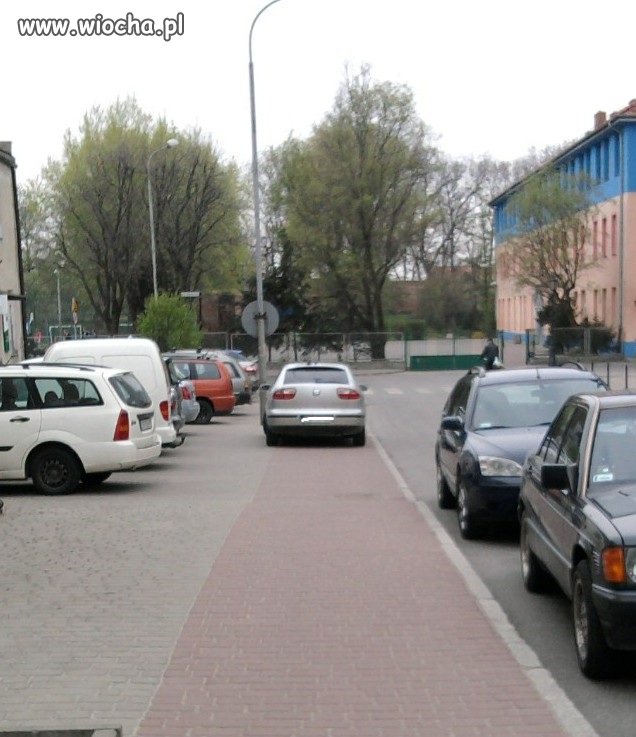 "wyższa" kultura 