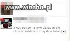 Opis