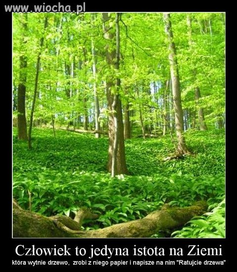 Heh... CI ludzie 