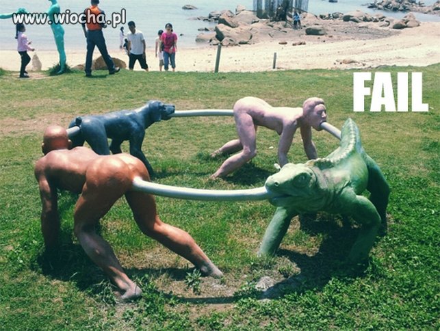 Wtf?!
