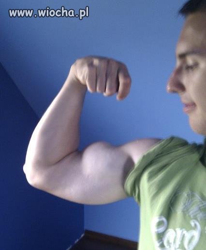 Macho