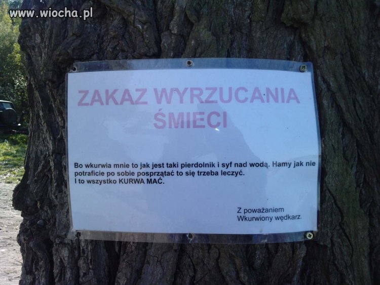 Bo hamy nie sprzątają