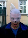 Króliczek