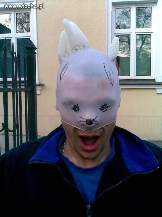 Króliczek