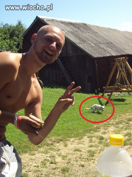 Słodki Arek.