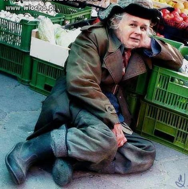Jaras przy warzywniaku.