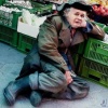 Jaras przy warzywniaku.