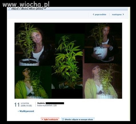 Baza danych nk...