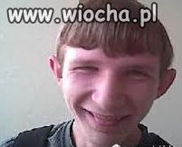 PRZYSTOJNIAK