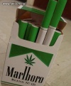 Marlboro