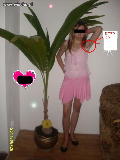 Git majonez włochy są 