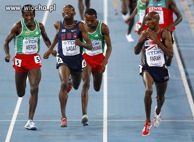 Mistrzostwa świata w Lekkoatletyce