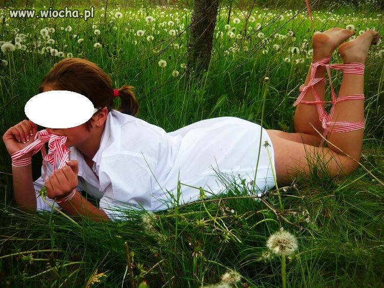 Sado Macho na łące.