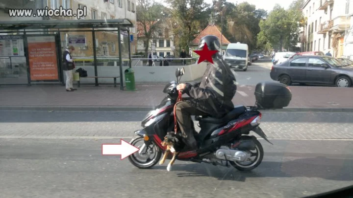 Wiatr we włosach w centrum Sopotu!