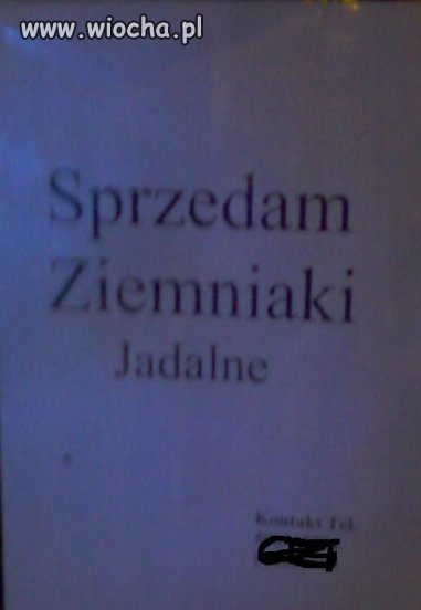 Sprzedam ziemniaki 