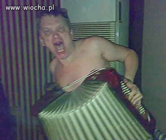 Szalony akordeonista 