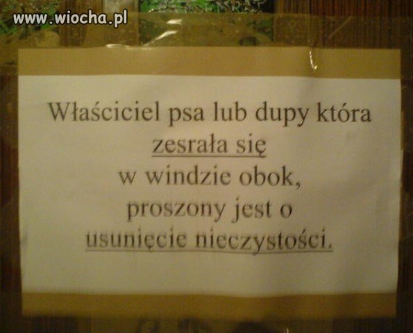 Pilnie poszukiwany