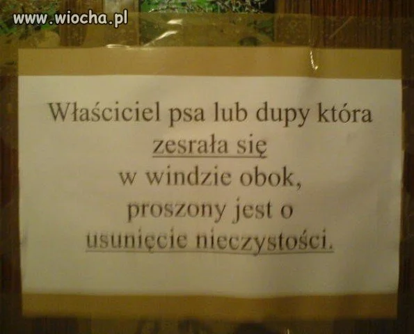Pilnie poszukiwany