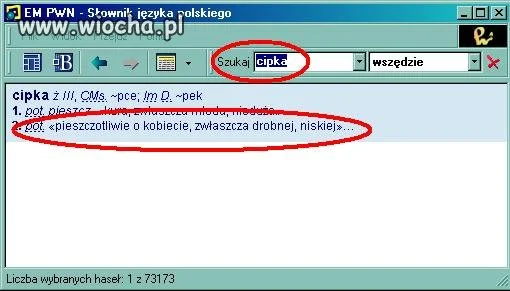 Cipka