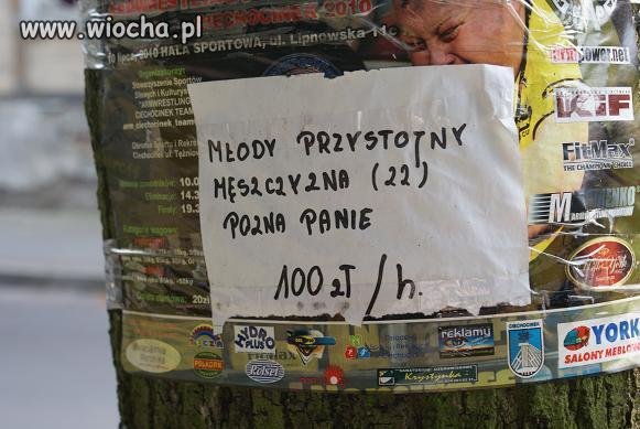 Mistrz ortografii atakuje