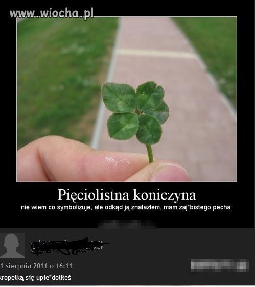 Szczerość to podstawa