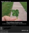 Szczerość to podstawa