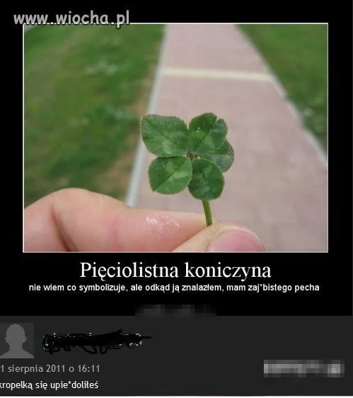 Szczerość to podstawa