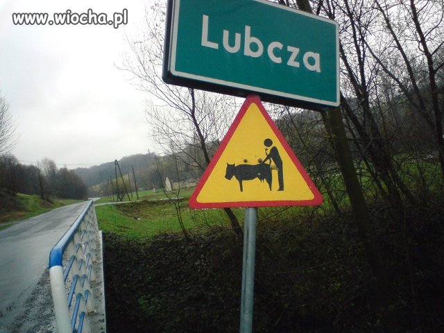 Chyba w Lubczy