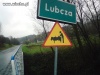 Chyba w Lubczy