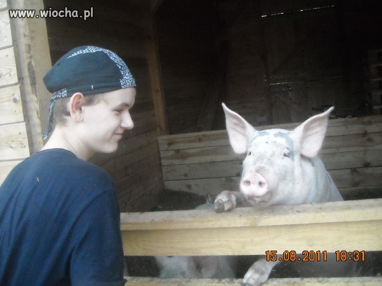 Lans prosiakiem, wieś tańczy, wieś śpiewa !