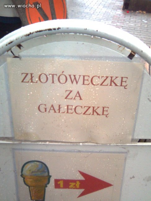 Wakacyjna Promocja