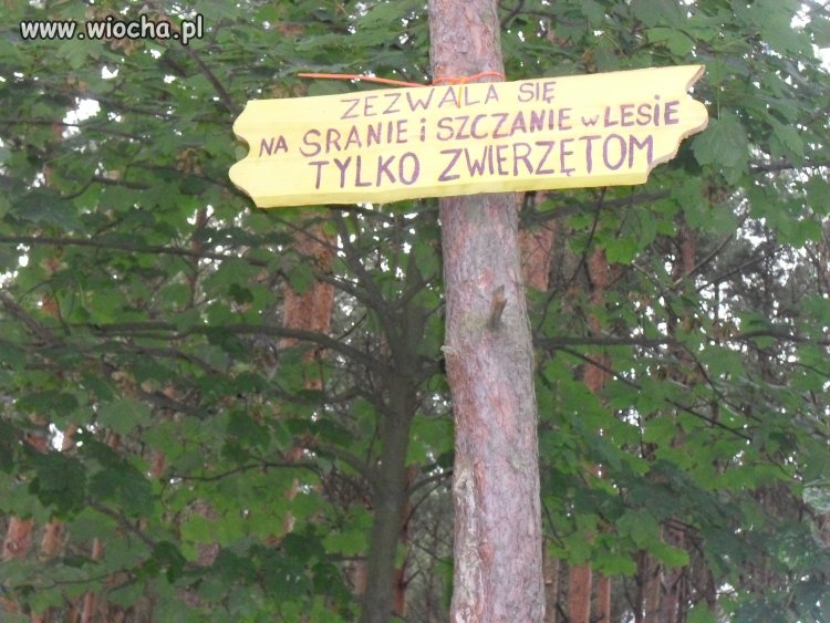 Pamiętajmy o tym 