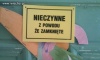 W szkole