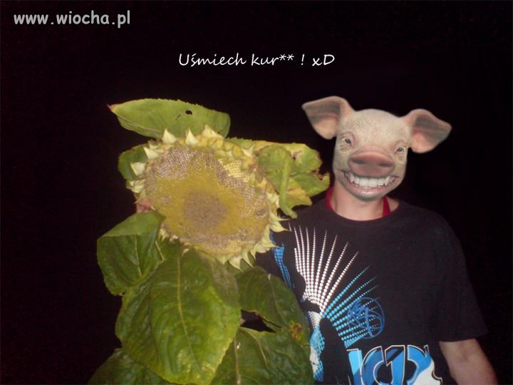 Mistrz Photoshopa