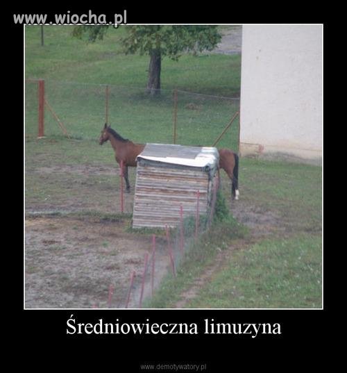 Limuzyna 