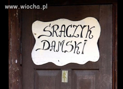 Sraczyk damski 