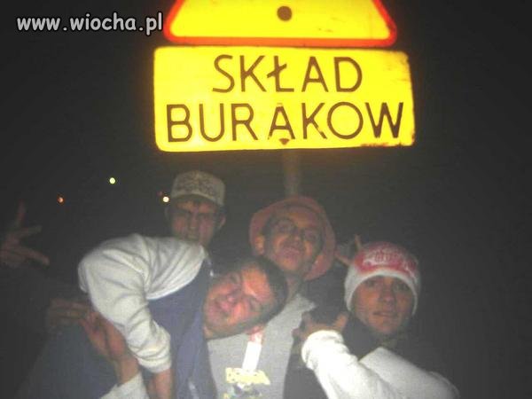 Skład buraków