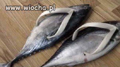 Teraz każda dziunia będzie takie mieć!