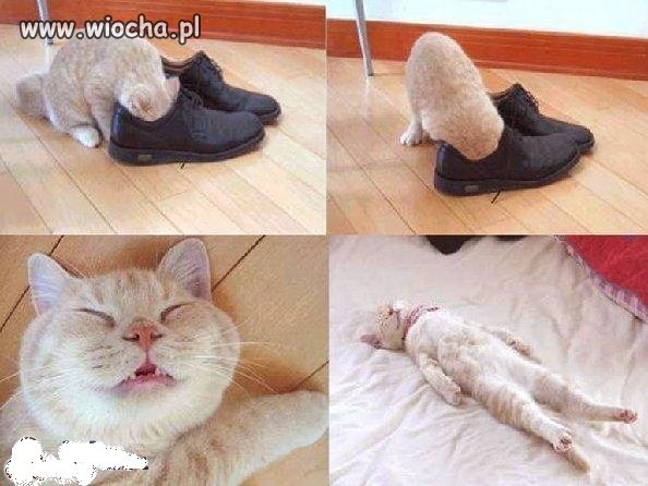 Smierdzące buty