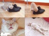 Smierdzące buty