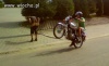 Mistrz drugiego planu