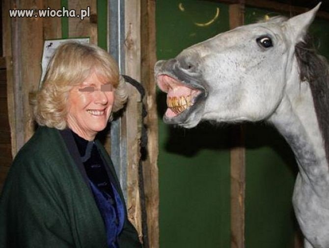 To się nazywa...