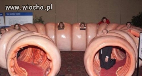 Pozdrowienia