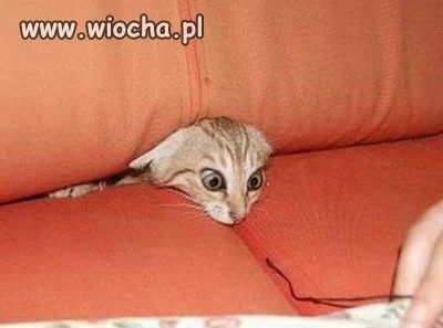 Już wiem gdzie jestem.