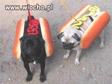 Hot dog