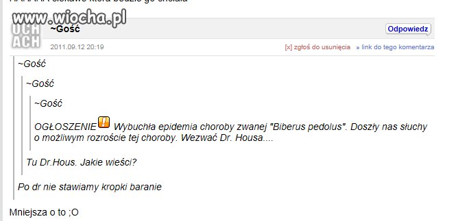 Nie mam pytań